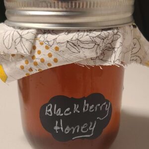 Raw Unfiltered Blackberry Honey 20oz